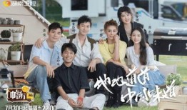 中餐厅宁静爆料视频播放,视频播放引热议