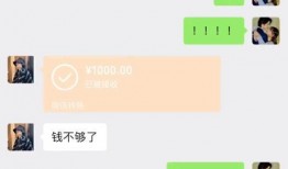 马泽鑫爆料聊天记录视频,揭秘背后惊人内幕